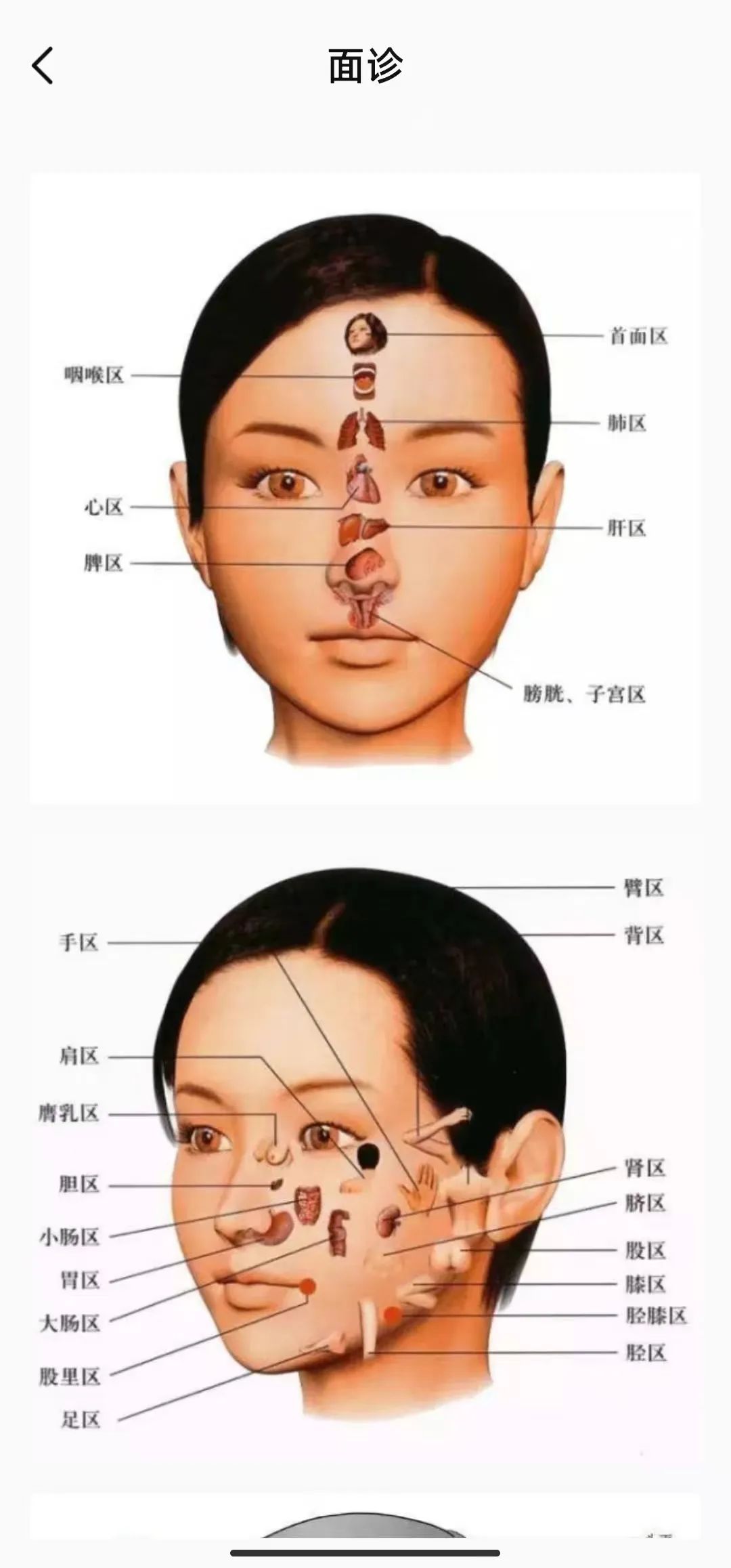 中医中药软件:中医舌诊图解大全破解版app+中草药宝典破解版app 中医中药软件:中医舌诊图解大全破解版app+中草药宝典破解版app