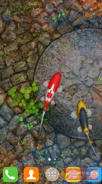 Water Garden Live Wallpaper 锦鲤3D动态壁纸2.05专业版 Water Garden Live Wallpaper 锦鲤3D动态壁纸2.05专业版