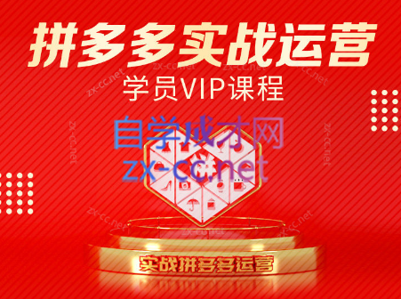 推易电商·拼多多实战运营课(更新2025月) 推易电商·拼多多实战运营课(更新2025月)