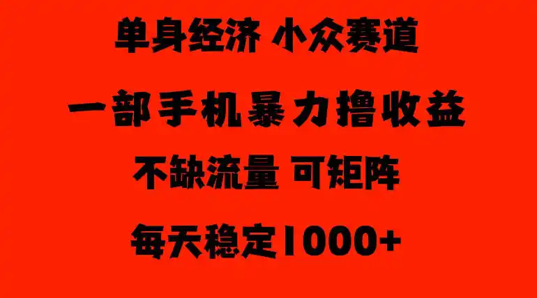 26年暴力单身经济，稳定日入500-1k，不缺流量，流量极大，冷门小众赛道，门槛低小白轻松上手【揭秘】