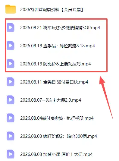 拼多多实战特训营(更新26年0822 拼多多实战特训营(更新26年0822