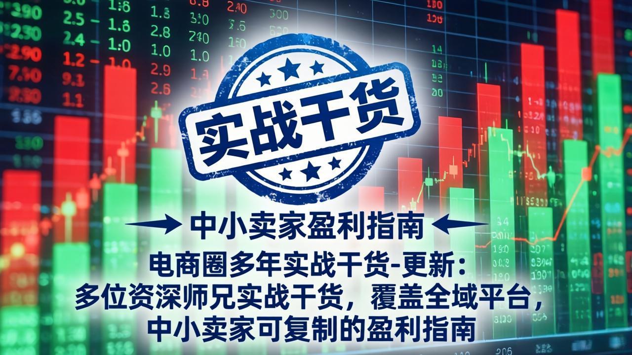 电商圈多年实战干货-更新5月20:多位资深师兄实战干货/覆盖全域平台,中小卖家可复制的盈利指南 电商圈多年实战干货-更新5月20:多位资深师兄实战干货/覆盖全域平台,中小卖家可复制的盈利指南