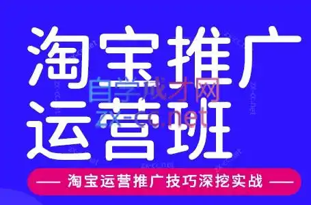 美迪电商·淘宝高级运营班+推广运营班(更新9月) 美迪电商·淘宝高级运营班+推广运营班(更新9月)