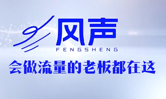 董十一·风声短视频AI获客年度会员 董十一·风声短视频AI获客年度会员