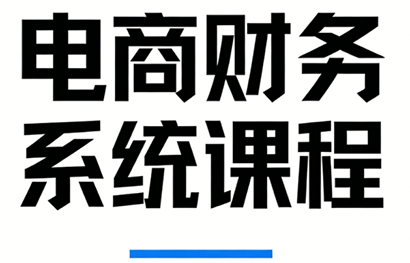 郑老师·电商财务系统课程 郑老师·电商财务系统课程