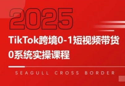 大亿老师·TikTok跨境0-1短视频带货 大亿老师·TikTok跨境0-1短视频带货