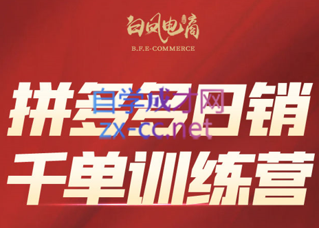 白凤电商·拼多多日销千单训练营(更新6月)