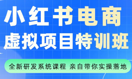 陆明明·小红书虚拟项目特训班(更新9月)