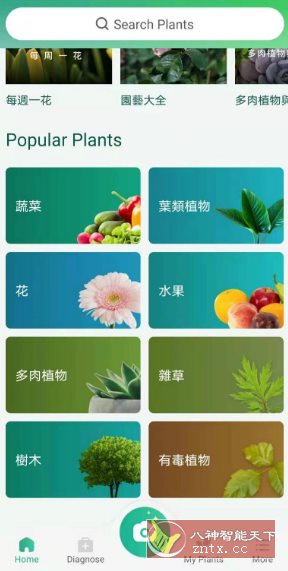 PictureThis 植物识别v5.18.0专业版 PictureThis 植物识别v5.18.0专业版