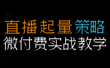 半野老师·直播带货起量与微付费必学课视频号 半野老师·直播带货起量与微付费必学课视频号