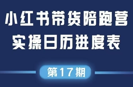 盗坤·抖音小红书视频号短视频带货与直播变现(11-17期) 盗坤·抖音小红书视频号短视频带货与直播变现(11-17期)