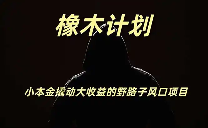 橡木计划,小投入撬动高回报的风口野路子项目,一天投入2小时左右 橡木计划,小投入撬动高回报的风口野路子项目,一天投入2小时左右