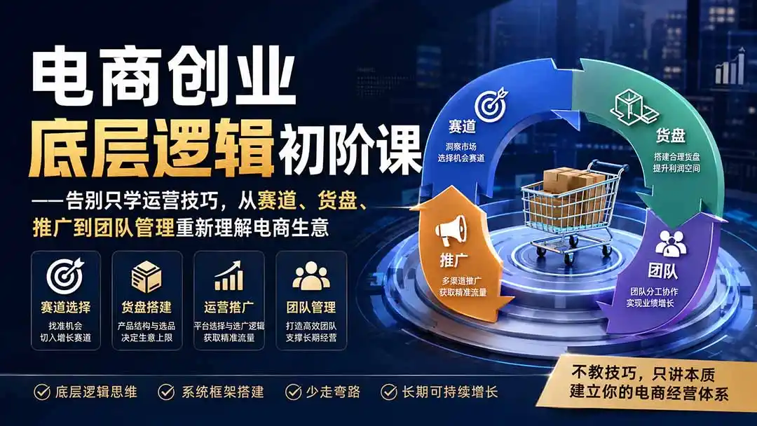 电商创业底层逻辑初阶课——告别只学运营技巧，从赛道、货盘、推广到团队管理重新理解电商生意