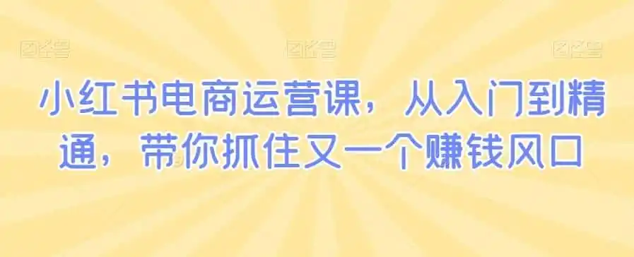 小红书电商运营课,从入门到精通,带你抓住又一个赚钱风口 小红书电商运营课,从入门到精通,带你抓住又一个赚钱风口