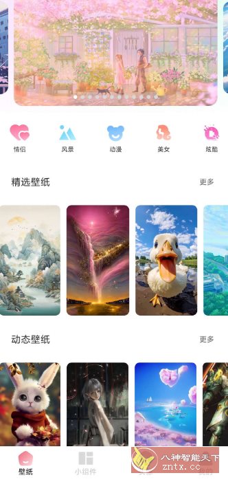 91熊猫桌面主题v1.0.6高级版 91熊猫桌面主题v1.0.6高级版
