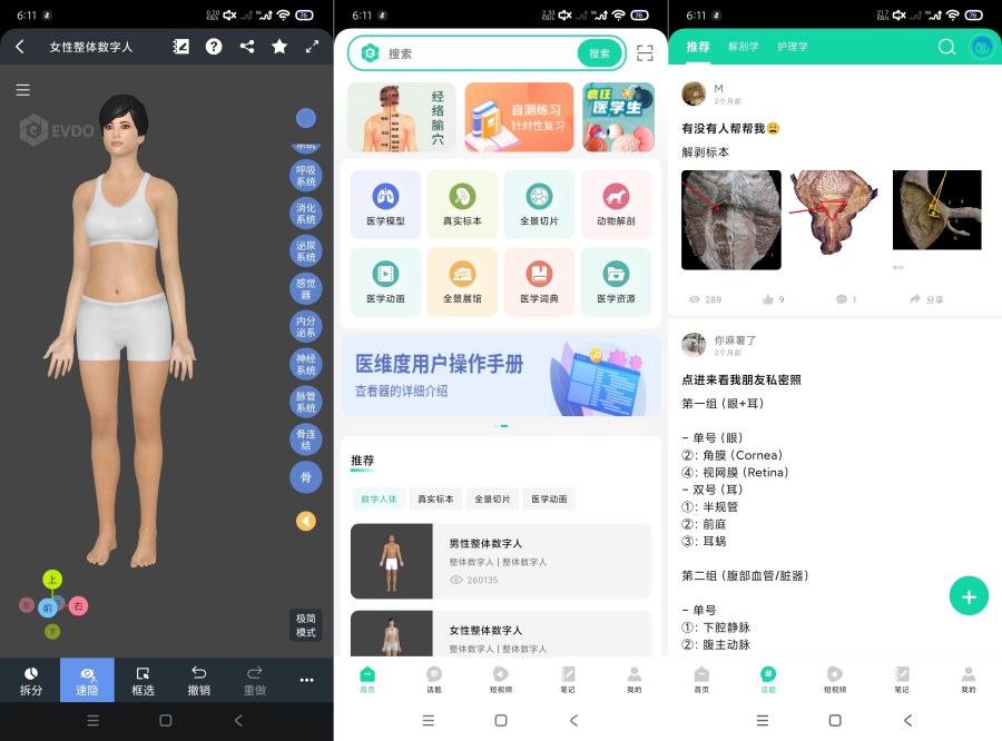 医维度解剖3.3.21一键解刨|医学知识|一键脱衣等 医维度解剖3.3.21一键解刨|医学知识|一键脱衣等
