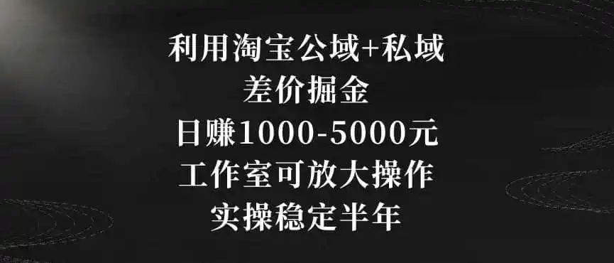 利用淘宝公域+私域差价掘金,日赚1000-5000元,工作室可放大操作,实操稳定半年【揭秘】 利用淘宝公域+私域差价掘金,日赚1000-5000元,工作室可放大操作,实操稳定半年【揭秘】