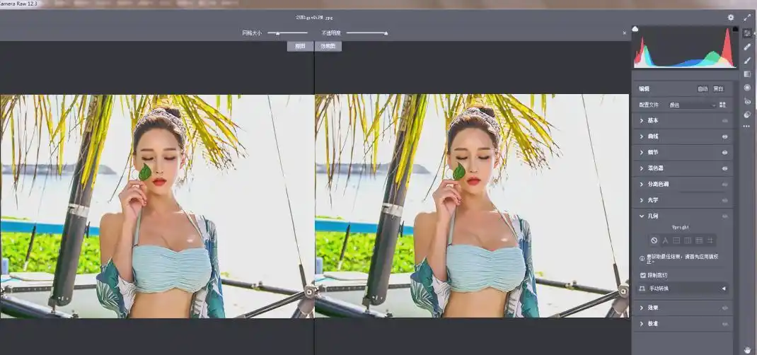 RAW处理Adobe Camera Raw v18.5.0中文版