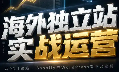 海外独立站实战运营 海外独立站实战运营