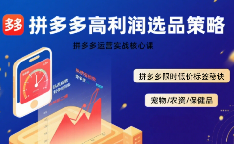 久号老师·拼多多选品暴利技术实战课 久号老师·拼多多选品暴利技术实战课
