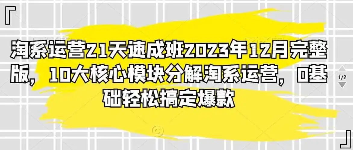 淘系运营21天速成班2023年12月完整版,10大核心模块分解淘系运营,0基础轻松搞定爆款 淘系运营21天速成班2023年12月完整版,10大核心模块分解淘系运营,0基础轻松搞定爆款